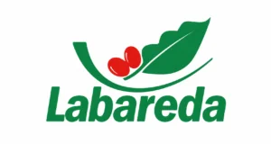 labareda.webp